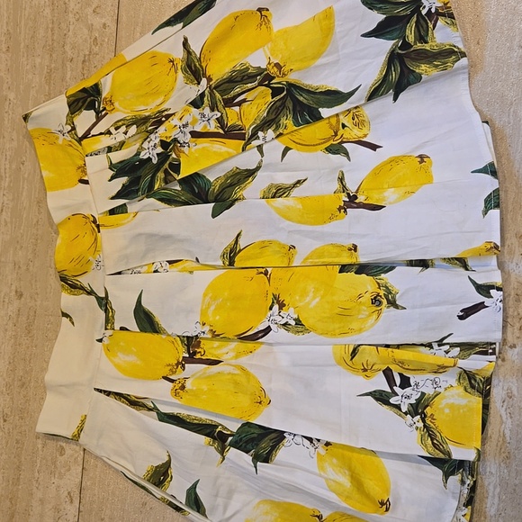 Lamiu Dresses & Skirts - New Lamiu Lemon Print Pleated Mini Skirt